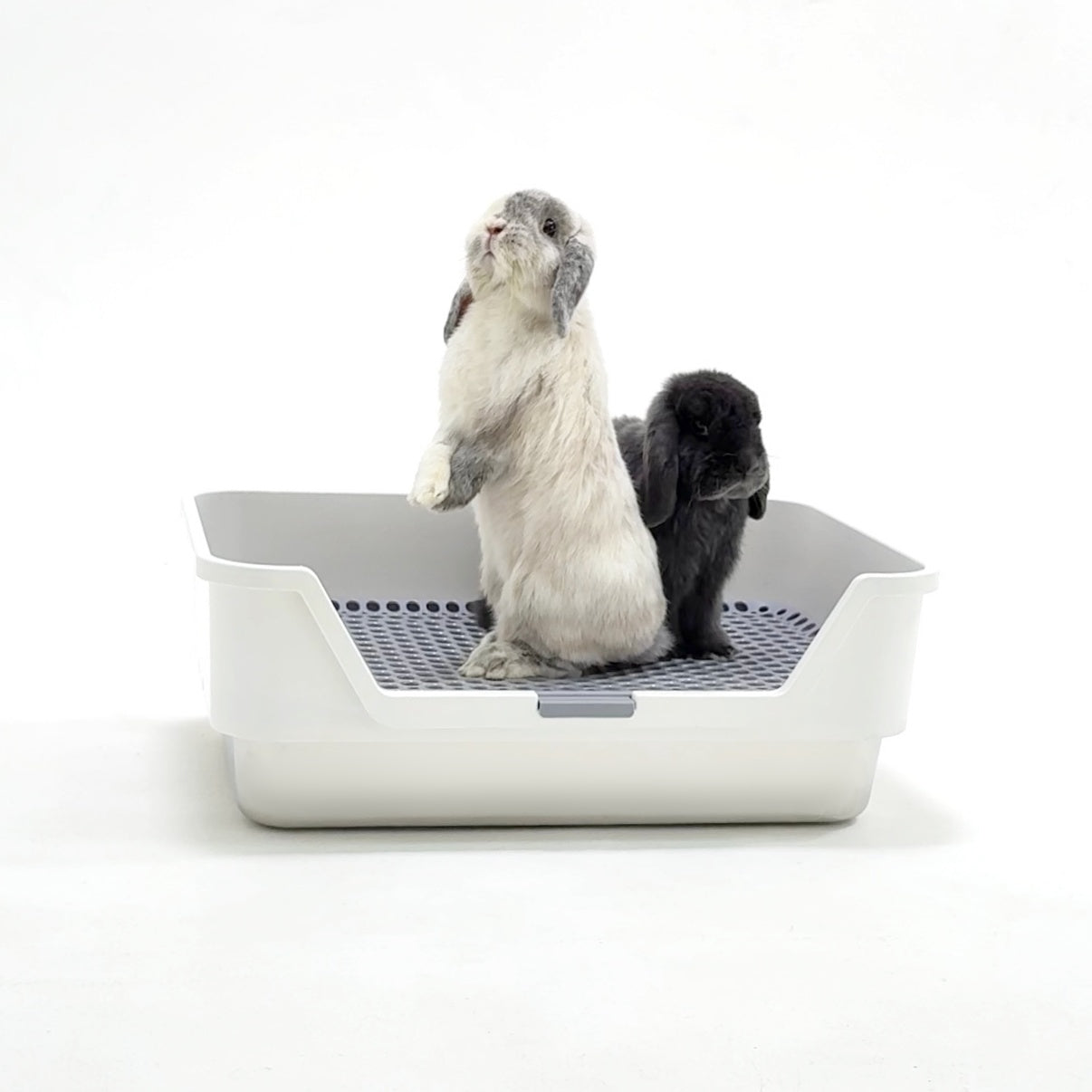 ROOLY Stainless Rabbit Litter Box